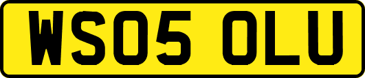 WS05OLU