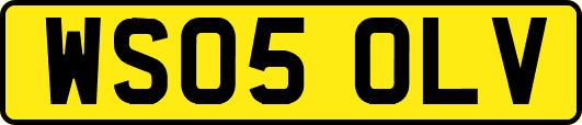 WS05OLV