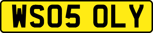 WS05OLY
