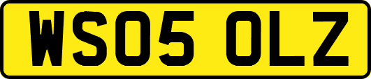 WS05OLZ