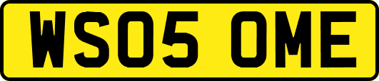 WS05OME
