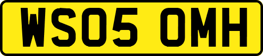 WS05OMH