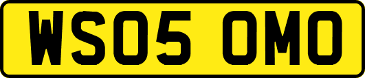 WS05OMO