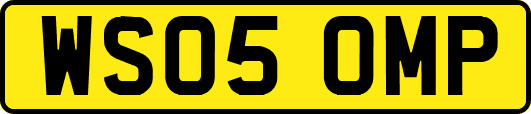 WS05OMP