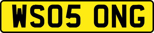 WS05ONG