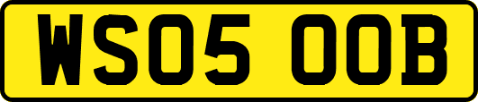 WS05OOB