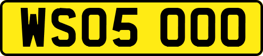 WS05OOO