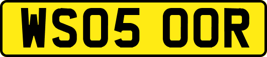 WS05OOR