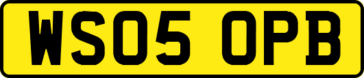 WS05OPB