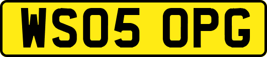 WS05OPG
