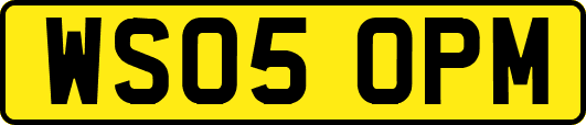 WS05OPM