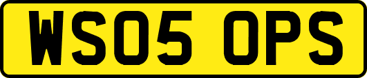 WS05OPS