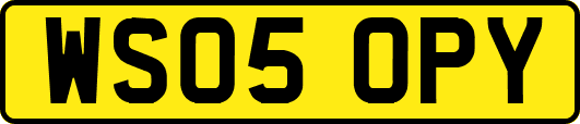 WS05OPY
