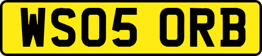 WS05ORB