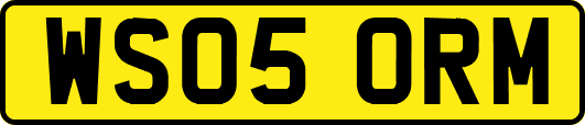 WS05ORM