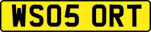 WS05ORT