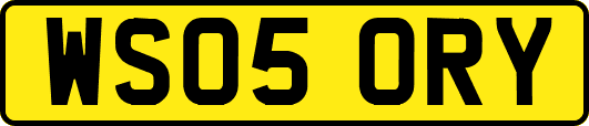 WS05ORY