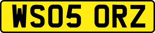 WS05ORZ