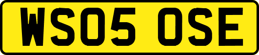 WS05OSE