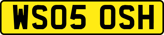 WS05OSH