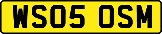 WS05OSM