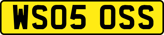 WS05OSS