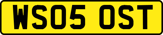 WS05OST