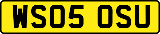 WS05OSU