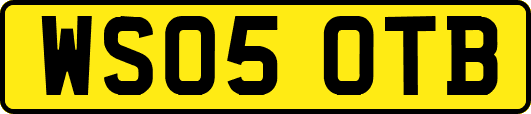 WS05OTB