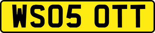 WS05OTT