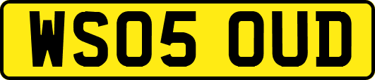 WS05OUD