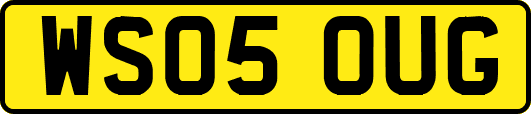 WS05OUG