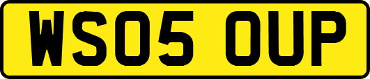WS05OUP