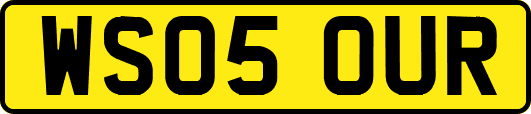 WS05OUR