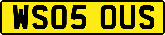 WS05OUS
