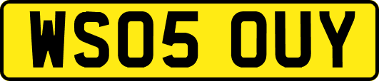 WS05OUY