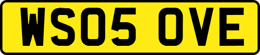 WS05OVE