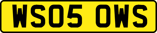 WS05OWS