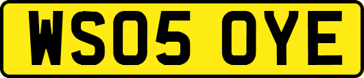 WS05OYE