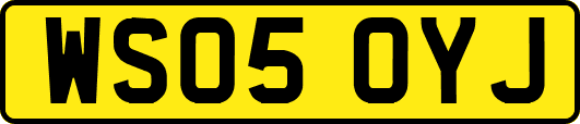 WS05OYJ