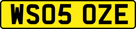 WS05OZE