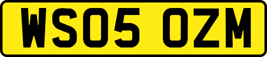 WS05OZM
