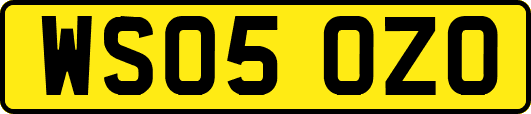 WS05OZO