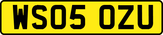 WS05OZU
