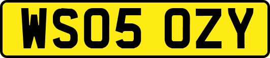 WS05OZY