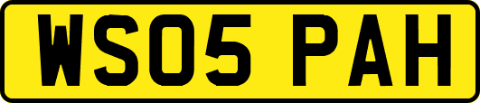 WS05PAH