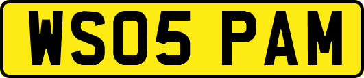 WS05PAM