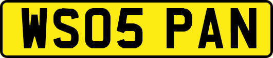 WS05PAN