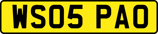 WS05PAO