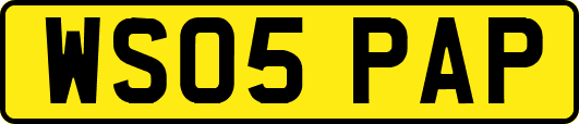 WS05PAP